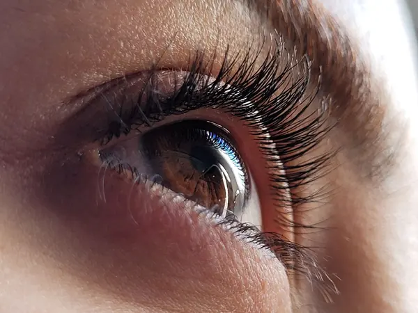 Makro detail oka a řas